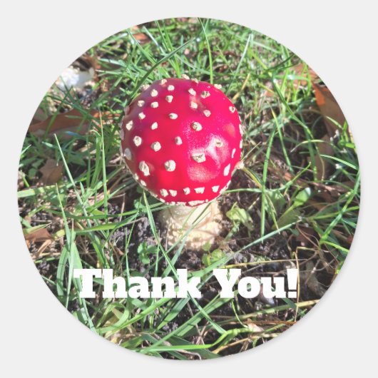 Red mushroom ronde sticker (Voorkant)