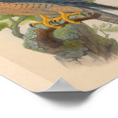 Red Naped Falcon Bird  Art Print (Hoek)