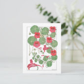 Red Nasturtia | Antiek lithograaf 1896 Poster Briefkaart (Staand voorkant)