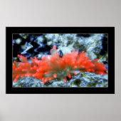 Red Neon Anemone met verffiltereffect Poster (Voorkant)