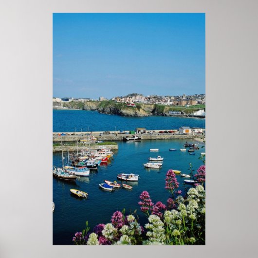 Red Newquay Harbour, Cornwall, Britse bloemen Poster (Voorkant)