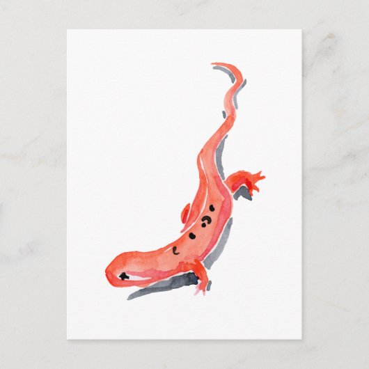 Red Newt Briefkaart (Voorkant)