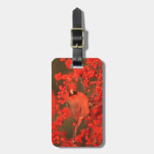 Red Northern Cardinale Male, IL Bagagelabel (Voorkant verticaal)