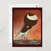 Red Norwich Cropper Pigeon Briefkaart (Voorkant / Achterkant)