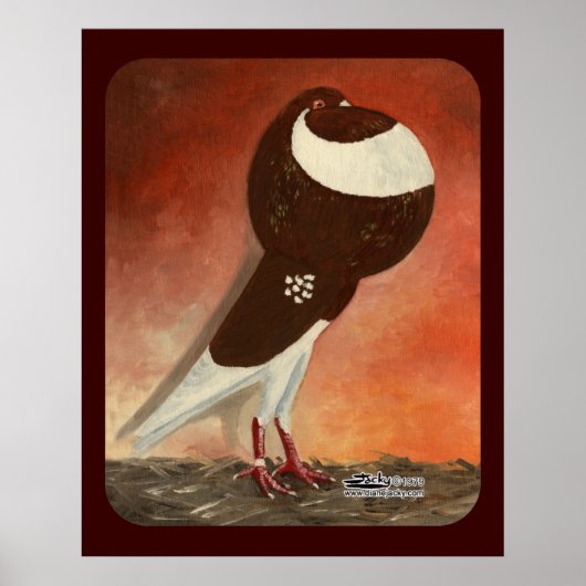 Red Norwich Cropper Pigeon Poster (Voorkant)