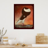 Red Norwich Cropper Pigeon Poster (Keuken)