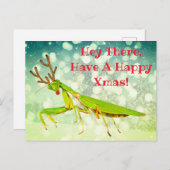 Red Nosed Praying Mantis Weird Briefkaart (Voorkant / Achterkant)