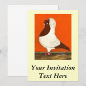 Red Nun Pigeon Kaart (Voorkant / Achterkant)