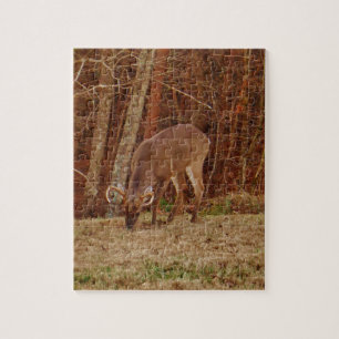 Red Oak Camouflage Stag Buck Deer Feeding Legpuzzel