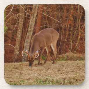 Red Oak Camouflage Stag Buck Deer Feeding Onderzetter