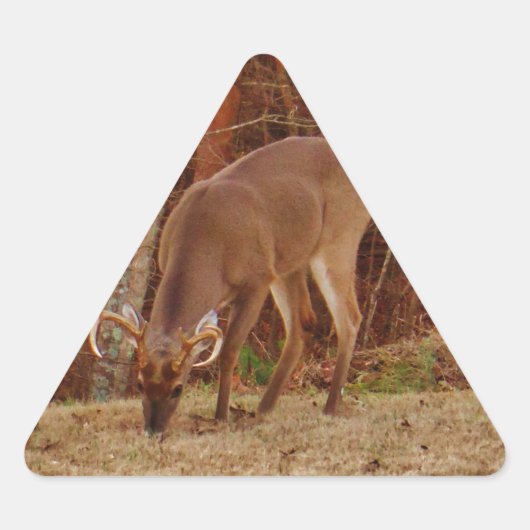 Red Oak Camouflage Stag Buck Deer Feeding Sticker (Voorkant)