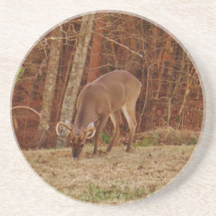 Red Oak Camouflage Stag Buck Deer Feeding Zandsteen Onderzetter