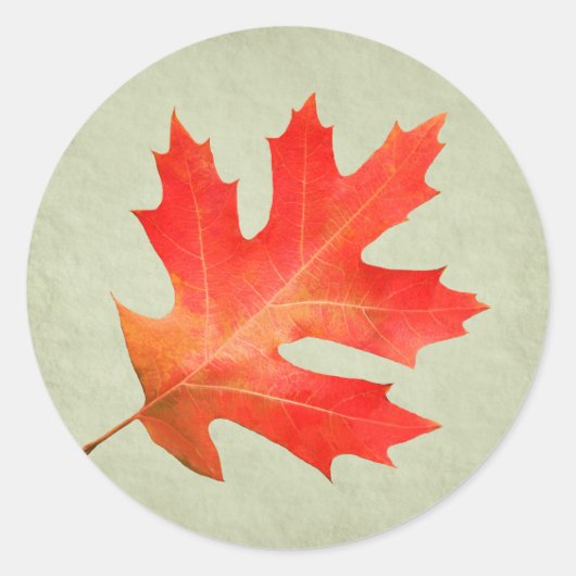 Red Oak Leaf Sticker (Voorkant)