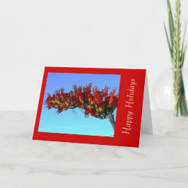 Red Ocotillo Blooms Holiday Greeting Kaart