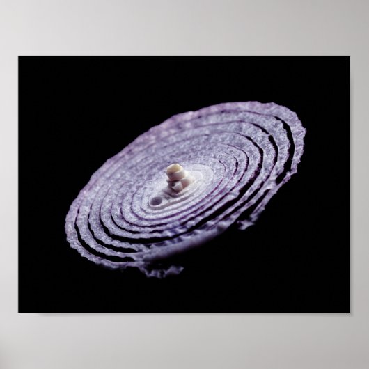 Red Onion Portret Poster (Voorkant)