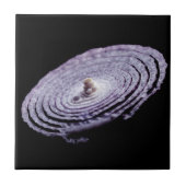 Red Onion Portret Tegeltje (Voorkant)