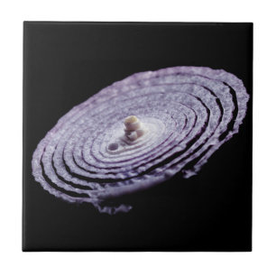 Red Onion Portret Tegeltje