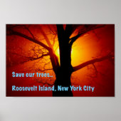 Red onze bomen, Roosevelt Island, New York City Poster (Voorkant)