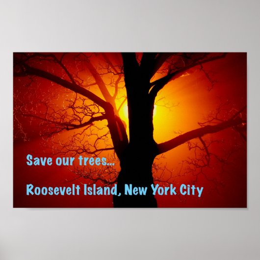 Red onze bomen, Roosevelt Island, New York City Poster (Voorkant)