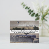 Red onze campagne voor wilde paarden briefkaart (Staand voorkant)