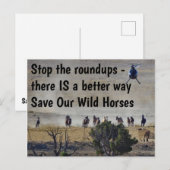 Red onze campagne voor wilde paarden briefkaart (Voorkant / Achterkant)