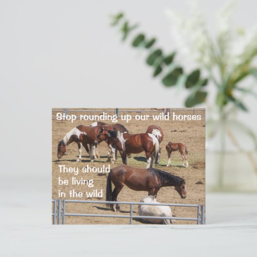 Red onze campagne voor wilde paarden briefkaart (Staand voorkant)