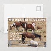 Red onze campagne voor wilde paarden briefkaart (Voorkant / Achterkant)