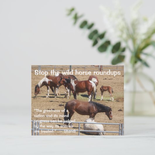 Red onze campagne voor wilde paarden briefkaart (Staand voorkant)