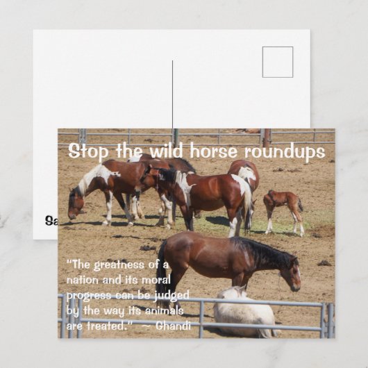Red onze campagne voor wilde paarden briefkaart (Voorkant / Achterkant)