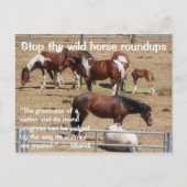 Red onze campagne voor wilde paarden briefkaart (Voorkant)