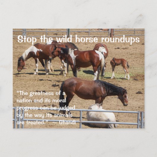 Red onze campagne voor wilde paarden briefkaart (Voorkant)