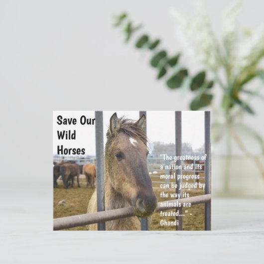 Red onze campagne voor wilde paarden briefkaart (Staand voorkant)