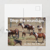 Red onze campagne voor wilde paarden briefkaart (Voorkant / Achterkant)