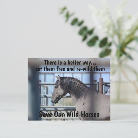 Red onze campagne voor wilde paarden briefkaart (Staand voorkant)