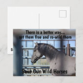 Red onze campagne voor wilde paarden briefkaart (Voorkant / Achterkant)