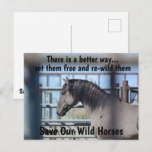 Red onze campagne voor wilde paarden briefkaart (Voorkant / Achterkant)