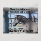 Red onze campagne voor wilde paarden briefkaart (Voorkant)