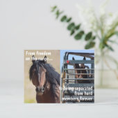 Red onze campagne voor wilde paarden briefkaart (Staand voorkant)