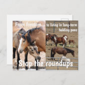 Red onze campagne voor wilde paarden briefkaart (Voorkant / Achterkant)