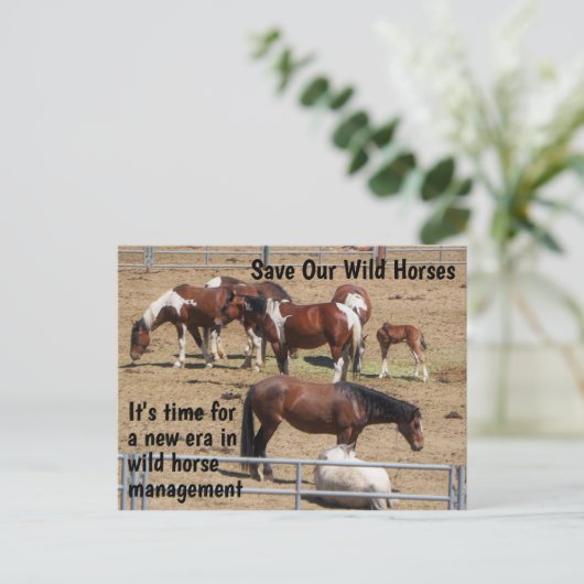 Red onze campagne voor wilde paarden briefkaart (Staand voorkant)