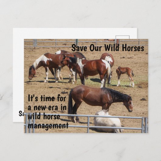 Red onze campagne voor wilde paarden briefkaart (Voorkant / Achterkant)