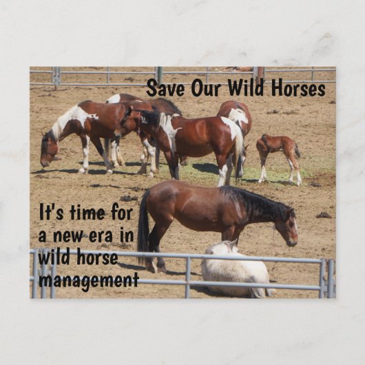 Red onze campagne voor wilde paarden briefkaart (Voorkant)