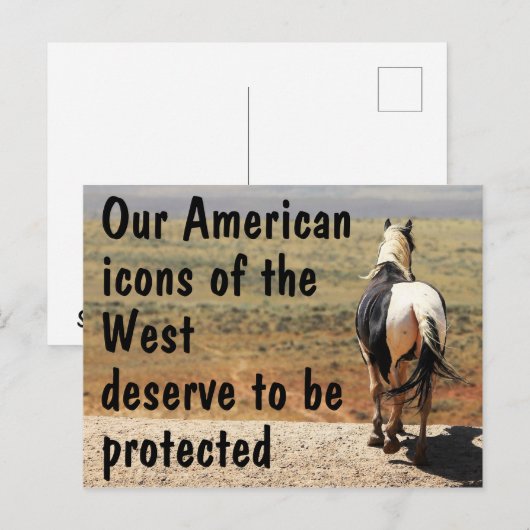 Red onze campagne voor wilde paarden briefkaart (Voorkant / Achterkant)