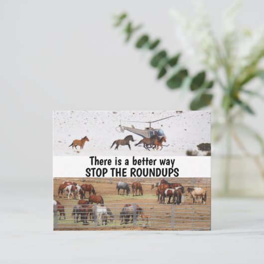 Red onze campagne voor wilde paarden briefkaart (Staand voorkant)
