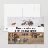 Red onze campagne voor wilde paarden briefkaart (Voorkant / Achterkant)
