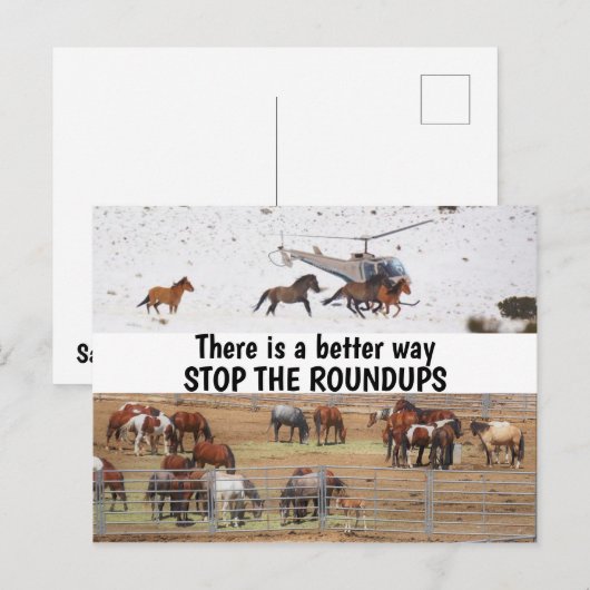 Red onze campagne voor wilde paarden briefkaart (Voorkant / Achterkant)