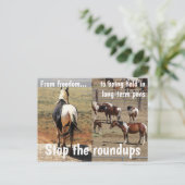 Red onze campagne voor wilde paarden briefkaart (Staand voorkant)