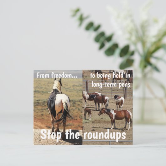 Red onze campagne voor wilde paarden briefkaart (Staand voorkant)
