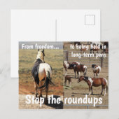 Red onze campagne voor wilde paarden briefkaart (Voorkant / Achterkant)