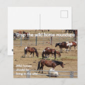 Red onze campagne voor wilde paarden briefkaart (Voorkant / Achterkant)